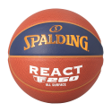 Ballon TF 250 LNB Spalding | myfyt13.com